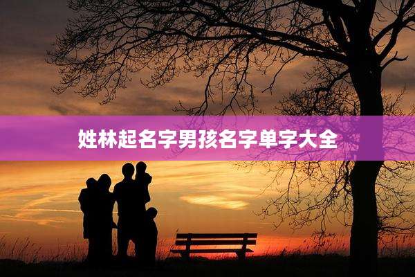 姓林起名字男孩名字单字大全