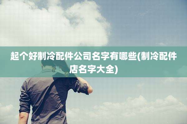 起个好制冷配件公司名字有哪些(制冷配件店名字大全)