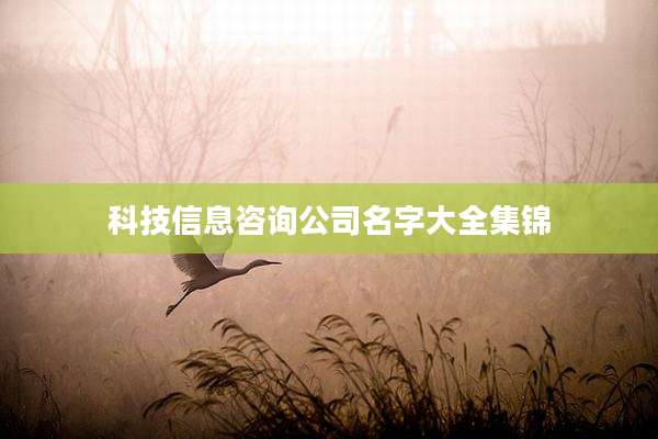 科技信息咨询公司名字大全集锦