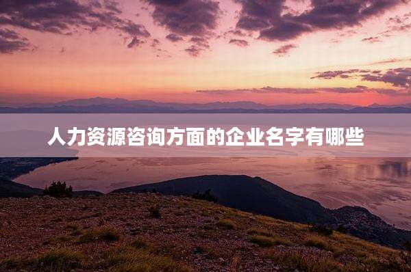 人力资源咨询方面的企业名字有哪些