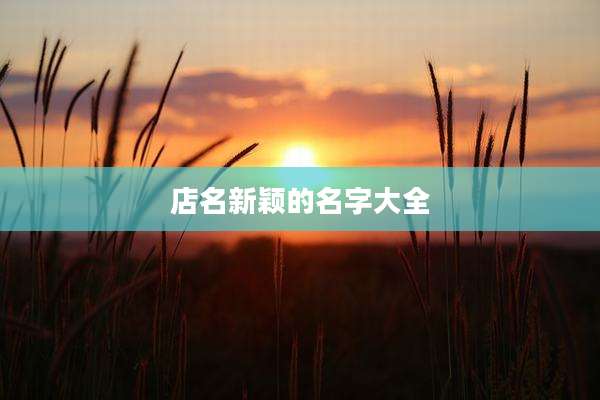 店名新颖的名字大全
