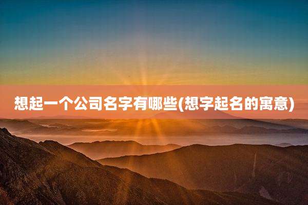 想起一个公司名字有哪些(想字起名的寓意)