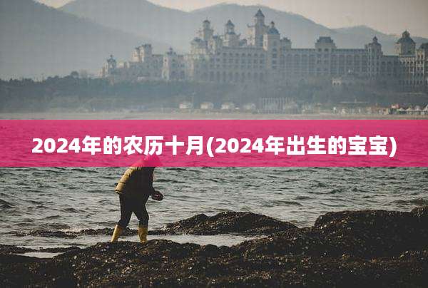 2024年的农历十月(2024年出生的宝宝)
