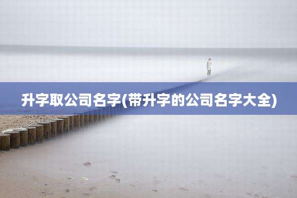 升字取公司名字(带升字的公司名字大全)