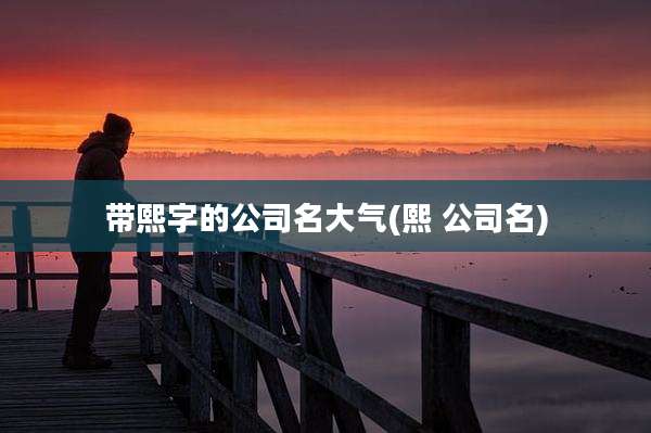 带熙字的公司名大气(熙 公司名)
