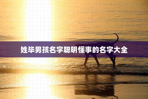 姓毕男孩名字聪明懂事的名字大全