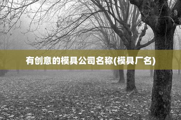 有创意的模具公司名称(模具厂名)