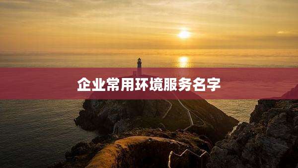 企业常用环境服务名字