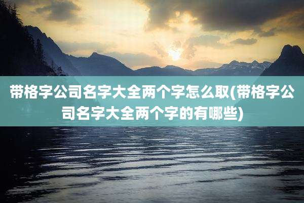 带格字公司名字大全两个字怎么取(带格字公司名字大全两个字的有哪些)