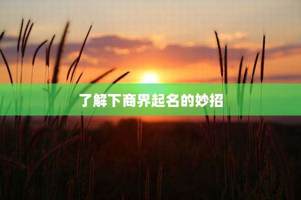 了解下商界起名的妙招
