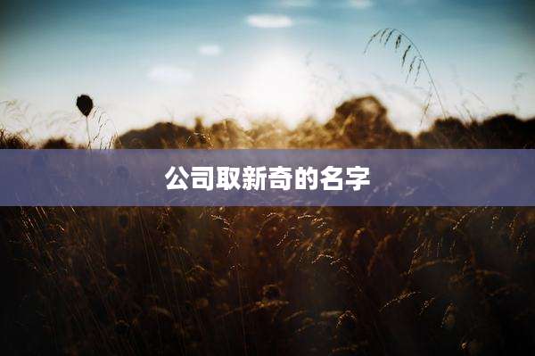 公司取新奇的名字