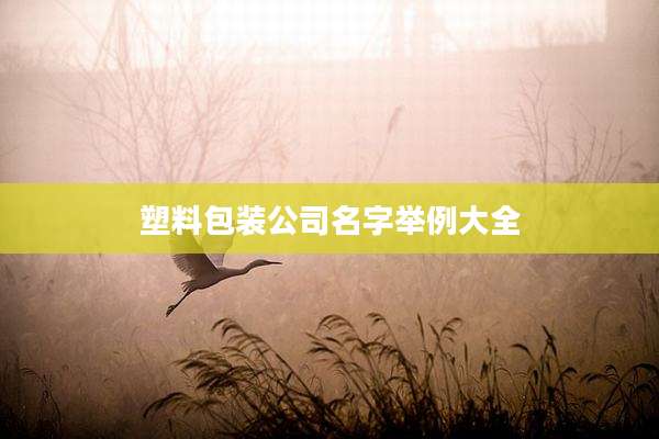 塑料包装公司名字举例大全