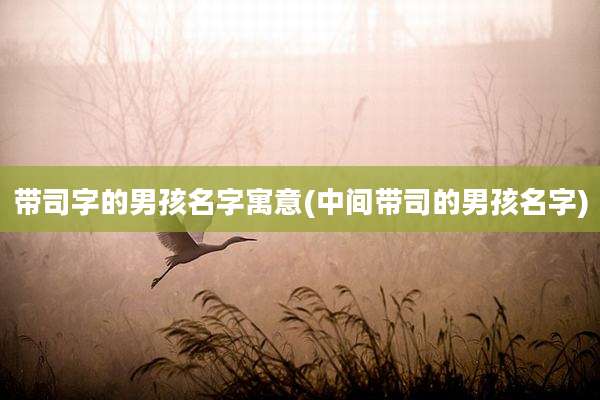 带司字的男孩名字寓意(中间带司的男孩名字)
