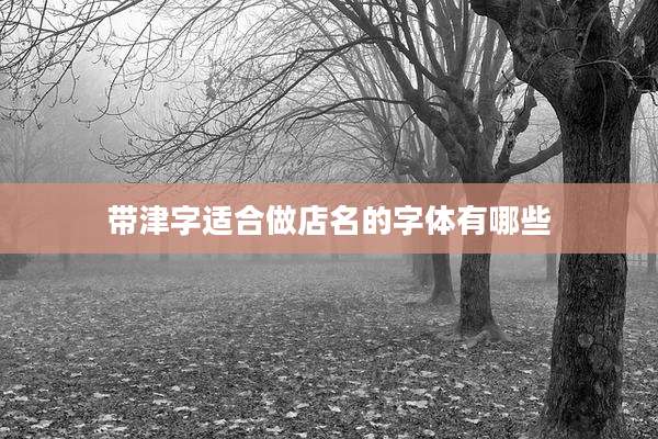 带津字适合做店名的字体有哪些