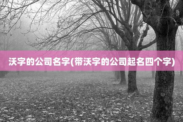 沃字的公司名字(带沃字的公司起名四个字)