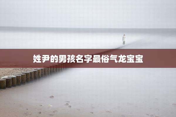 姓尹的男孩名字最俗气龙宝宝