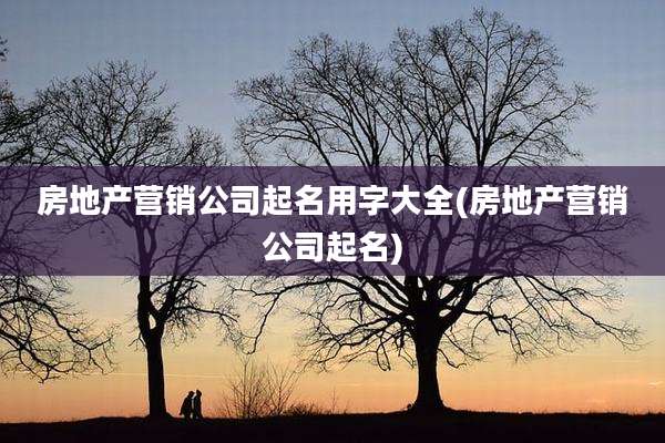 房地产营销公司起名用字大全(房地产营销公司起名)