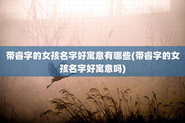 带睿字的女孩名字好寓意有哪些(带睿字的女孩名字好寓意吗)