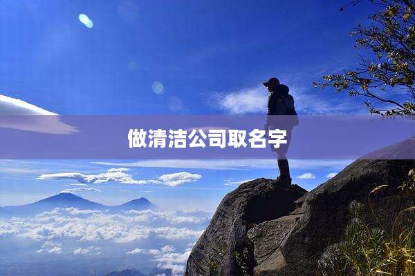 做清洁公司取名字
