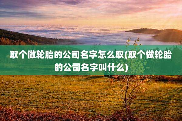 取个做轮胎的公司名字怎么取(取个做轮胎的公司名字叫什么)