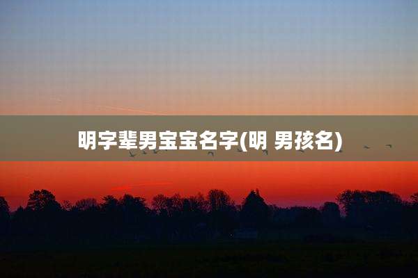明字辈男宝宝名字(明 男孩名)
