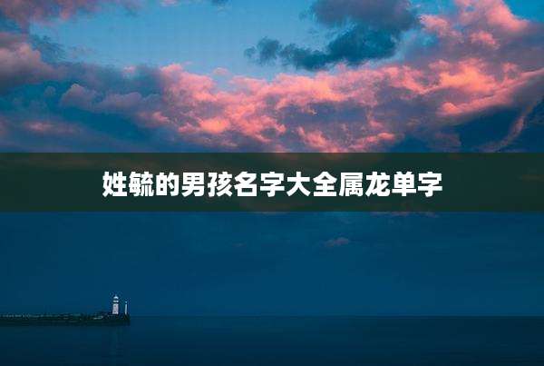 姓毓的男孩名字大全属龙单字