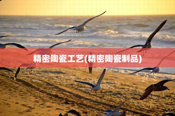 精密陶瓷工艺(精密陶瓷制品)