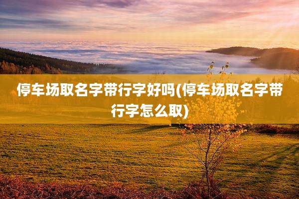 停车场取名字带行字好吗(停车场取名字带行字怎么取)