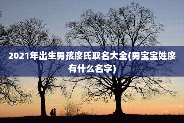 2021年出生男孩廖氏取名大全(男宝宝姓廖有什么名字)