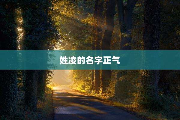 姓凌的名字正气