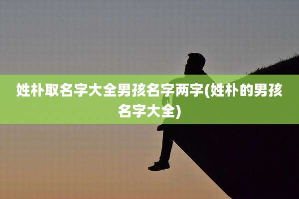 姓朴取名字大全男孩名字两字(姓朴的男孩名字大全)