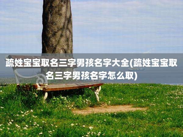 疏姓宝宝取名三字男孩名字大全(疏姓宝宝取名三字男孩名字怎么取)