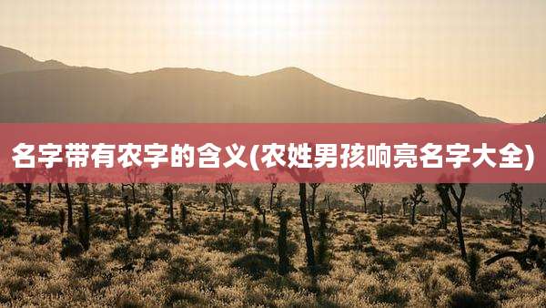名字带有农字的含义(农姓男孩响亮名字大全)