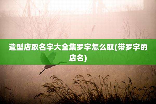 造型店取名字大全集罗字怎么取(带罗字的店名)