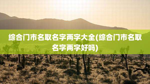 综合门市名取名字两字大全(综合门市名取名字两字好吗)