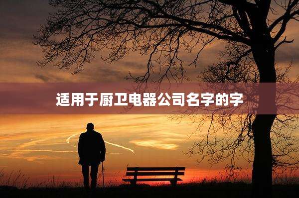适用于厨卫电器公司名字的字