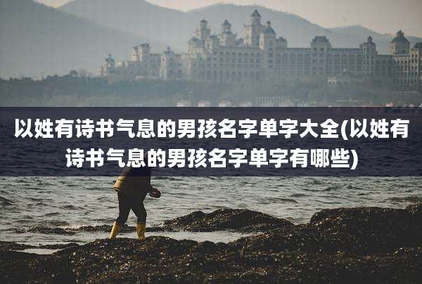 以姓有诗书气息的男孩名字单字大全(以姓有诗书气息的男孩名字单字有哪些)