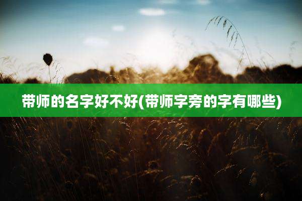 带师的名字好不好(带师字旁的字有哪些)
