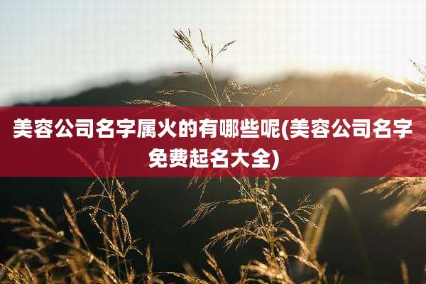 美容公司名字属火的有哪些呢(美容公司名字免费起名大全)