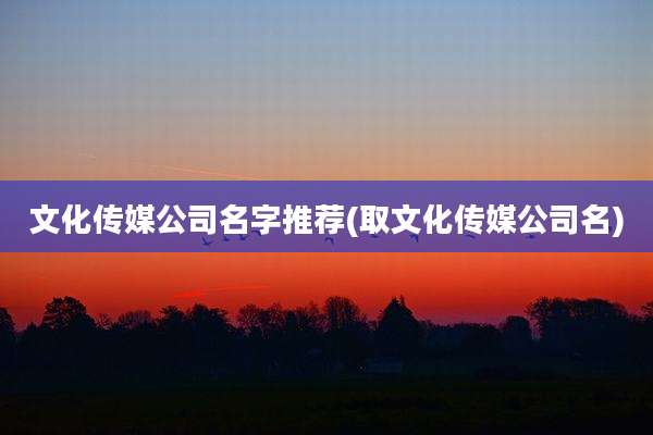 文化传媒公司名字推荐(取文化传媒公司名)