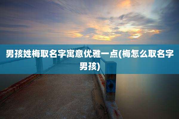 男孩姓梅取名字寓意优雅一点(梅怎么取名字男孩)