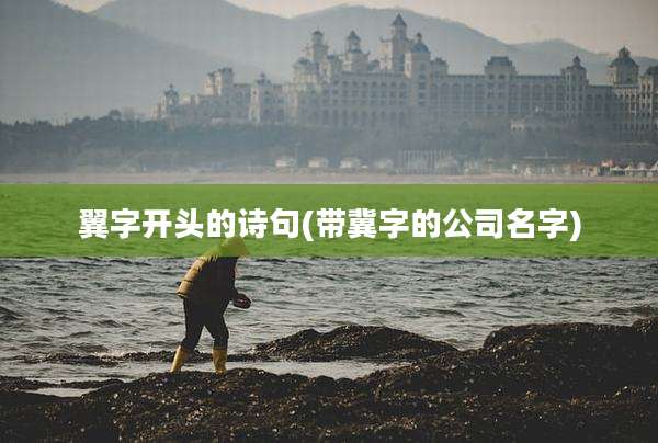 翼字开头的诗句(带冀字的公司名字)