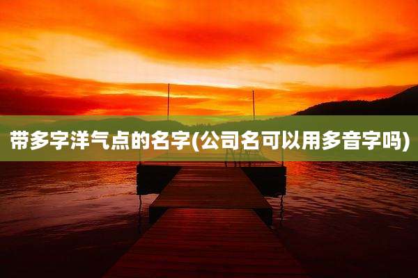 带多字洋气点的名字(公司名可以用多音字吗)
