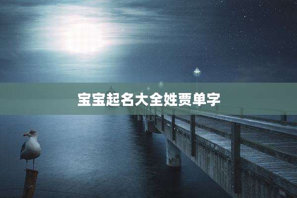 宝宝起名大全姓贾单字