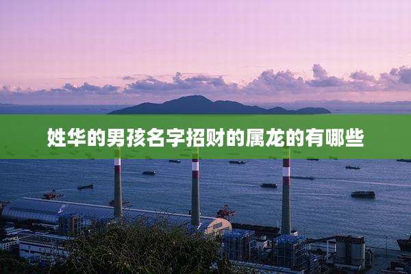 姓华的男孩名字招财的属龙的有哪些