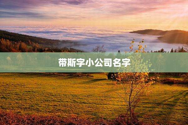 带斯字小公司名字