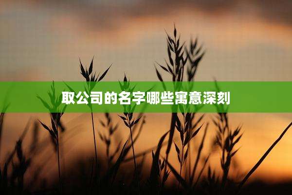 取公司的名字哪些寓意深刻