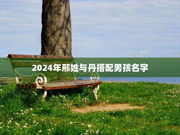 2024年邢姓与丹搭配男孩名字