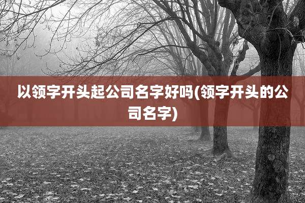 以领字开头起公司名字好吗(领字开头的公司名字)