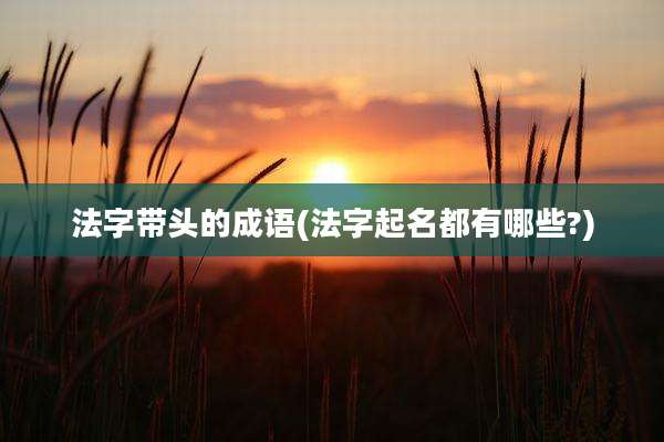 法字带头的成语(法字起名都有哪些?)